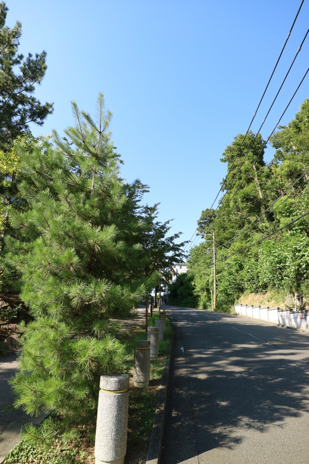 横浜ナビ表紙の仕事 川村デザイン